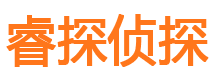 东宝寻人公司